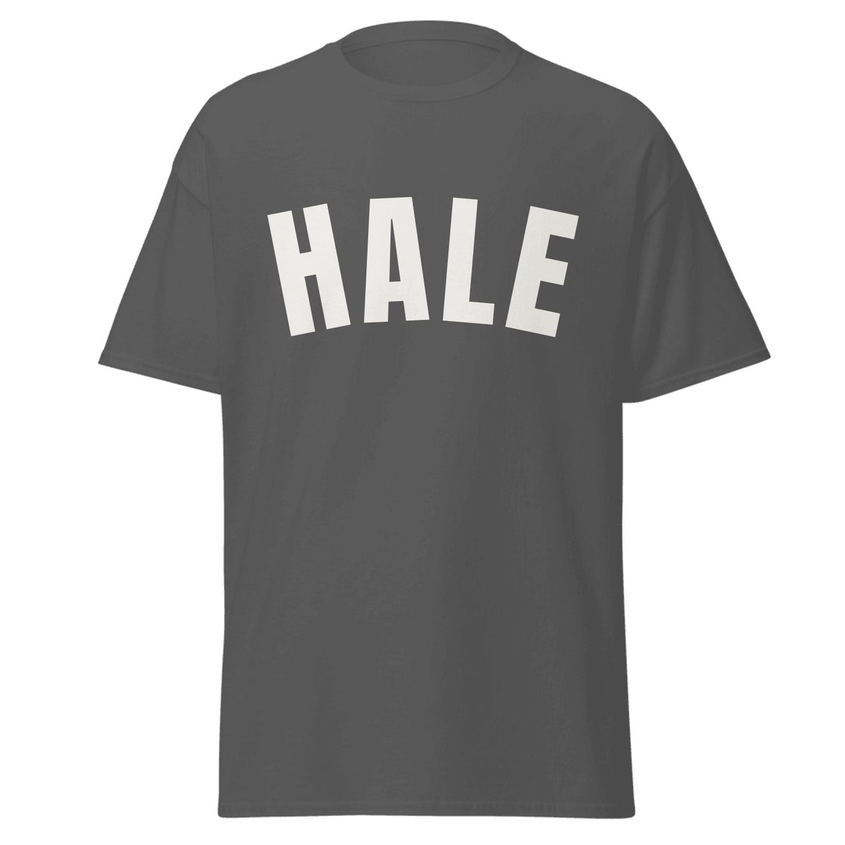 Hale Varsity T-Shirt in Dark Heather