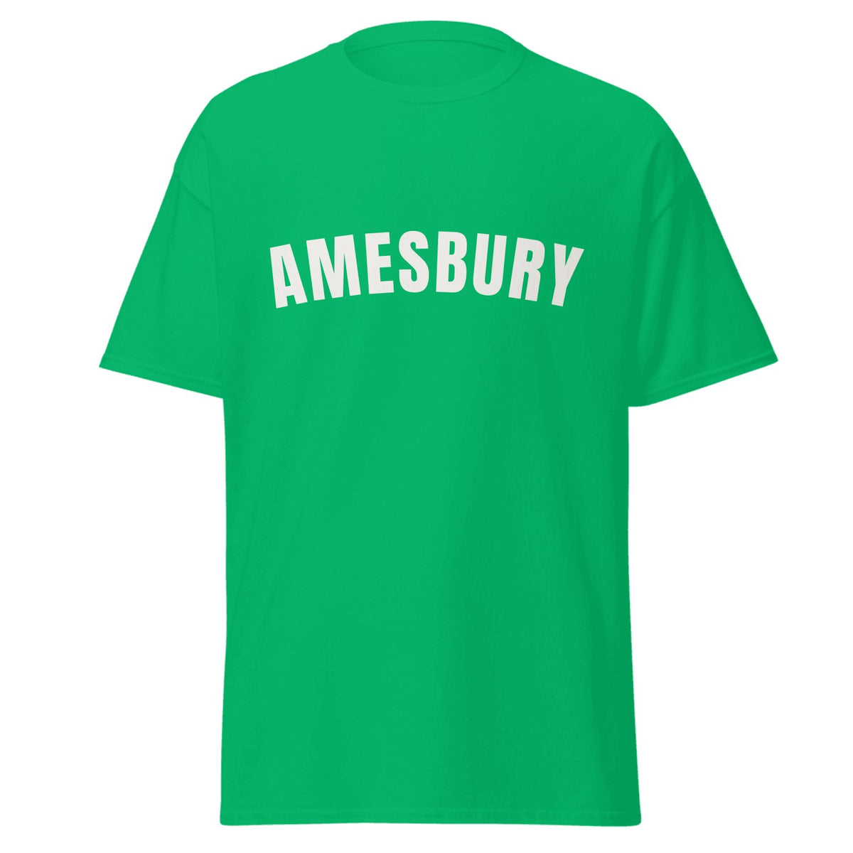 Amesbury Varsity T-Shirt in Irish Green