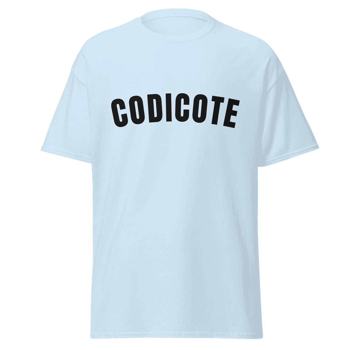 Codicote Varsity T-Shirt in Light Blue