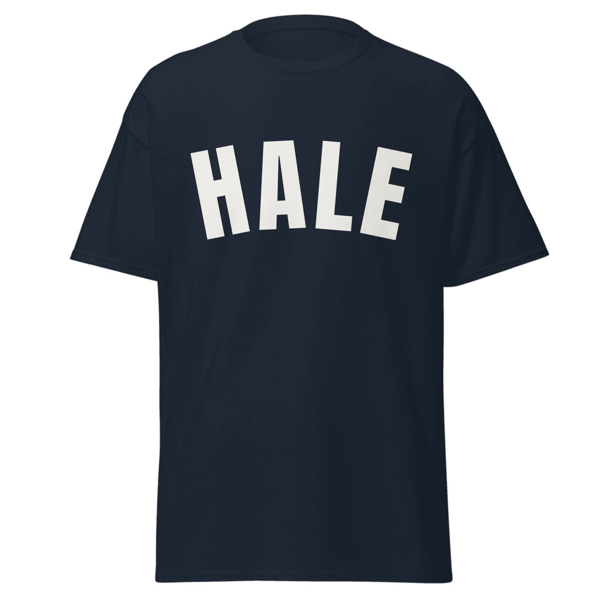Hale Varsity T-Shirt in Navy