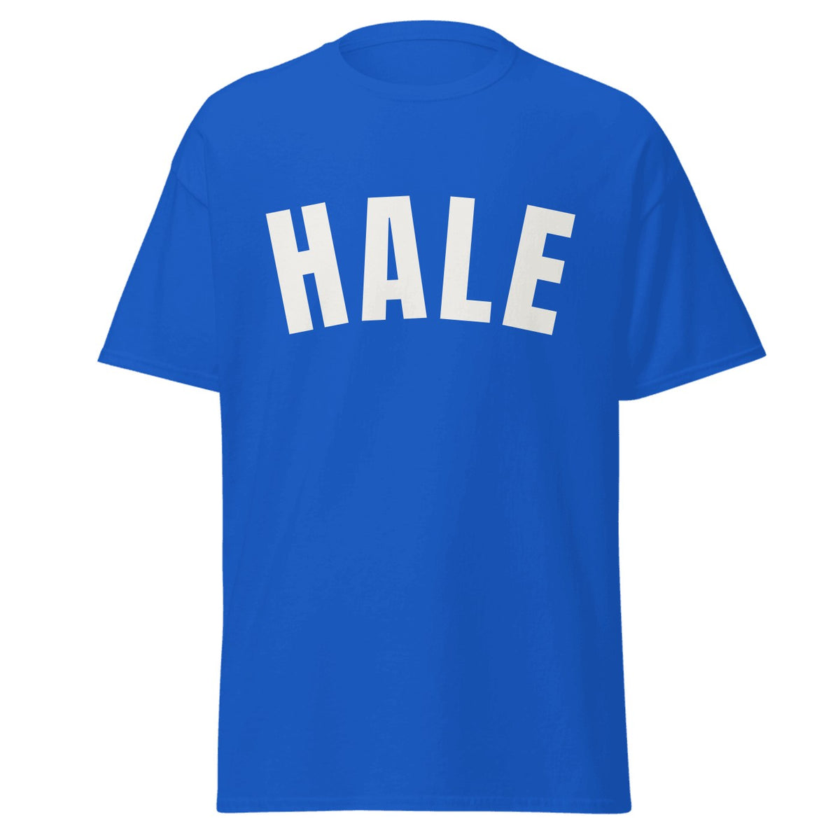 Hale Varsity T-Shirt in Royal Blue