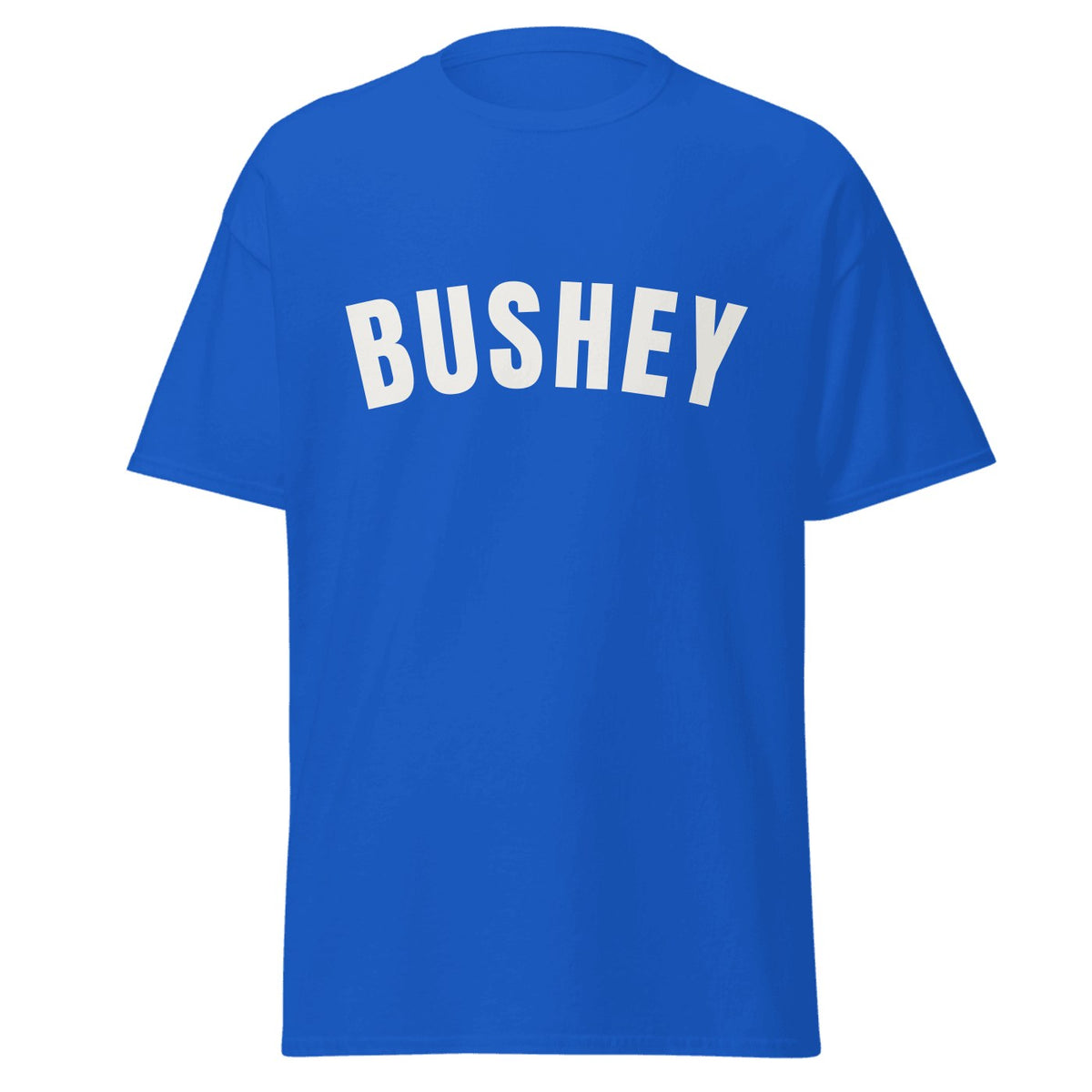 Bushey Varsity T-Shirt in Royal Blue