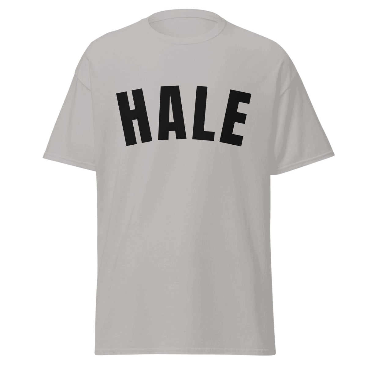 Hale Varsity T-Shirt in Sport Grey