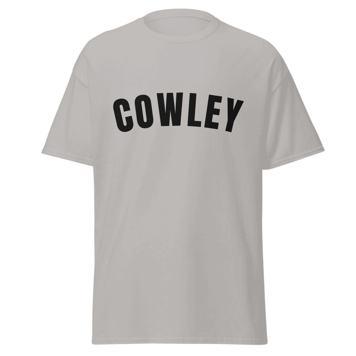 Cowley Varsity T-Shirt in Sport Grey