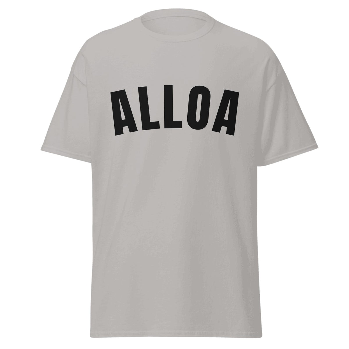 Alloa Varsity T-Shirt in Sport Grey