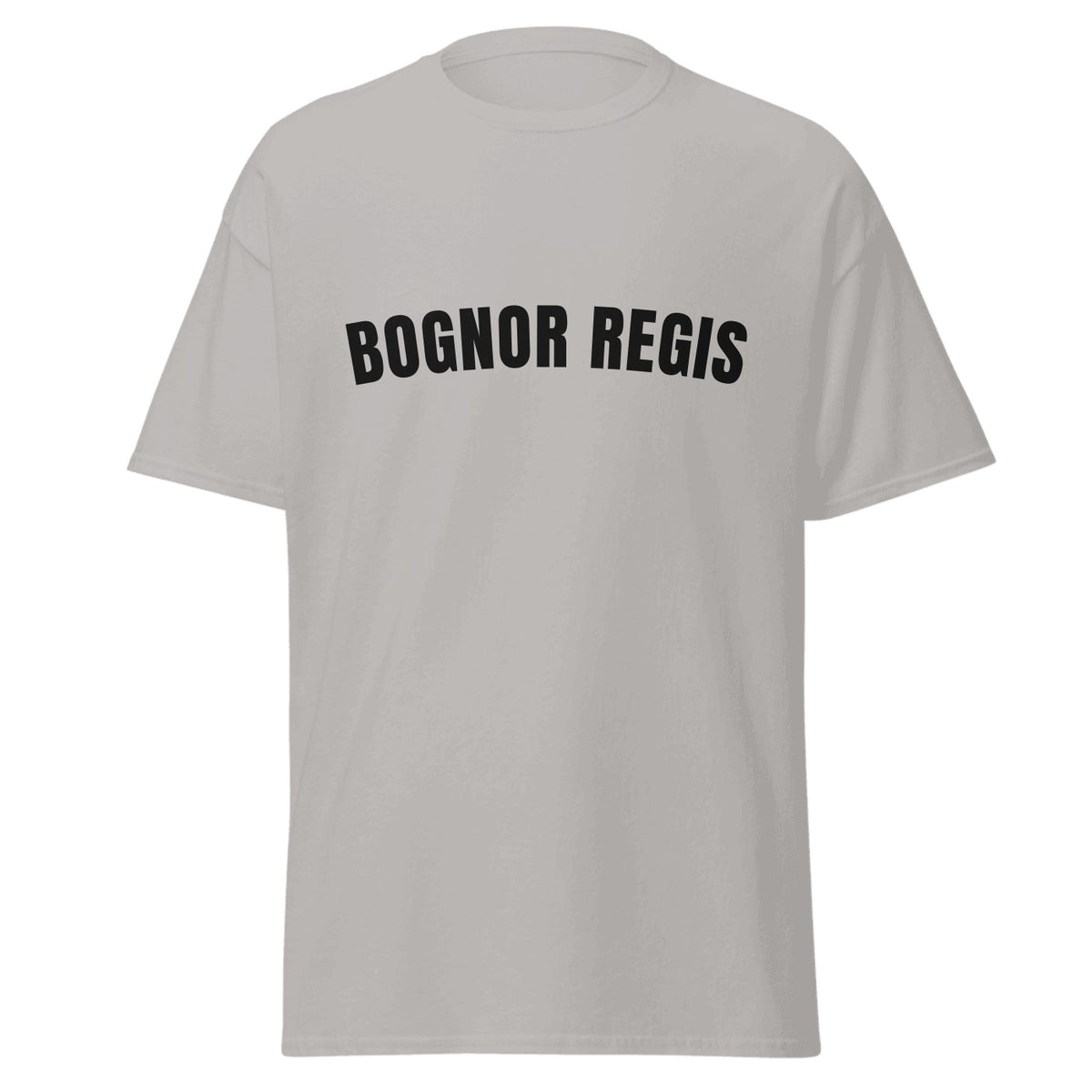 Bognor Regis Varsity T-Shirt in Sport Grey